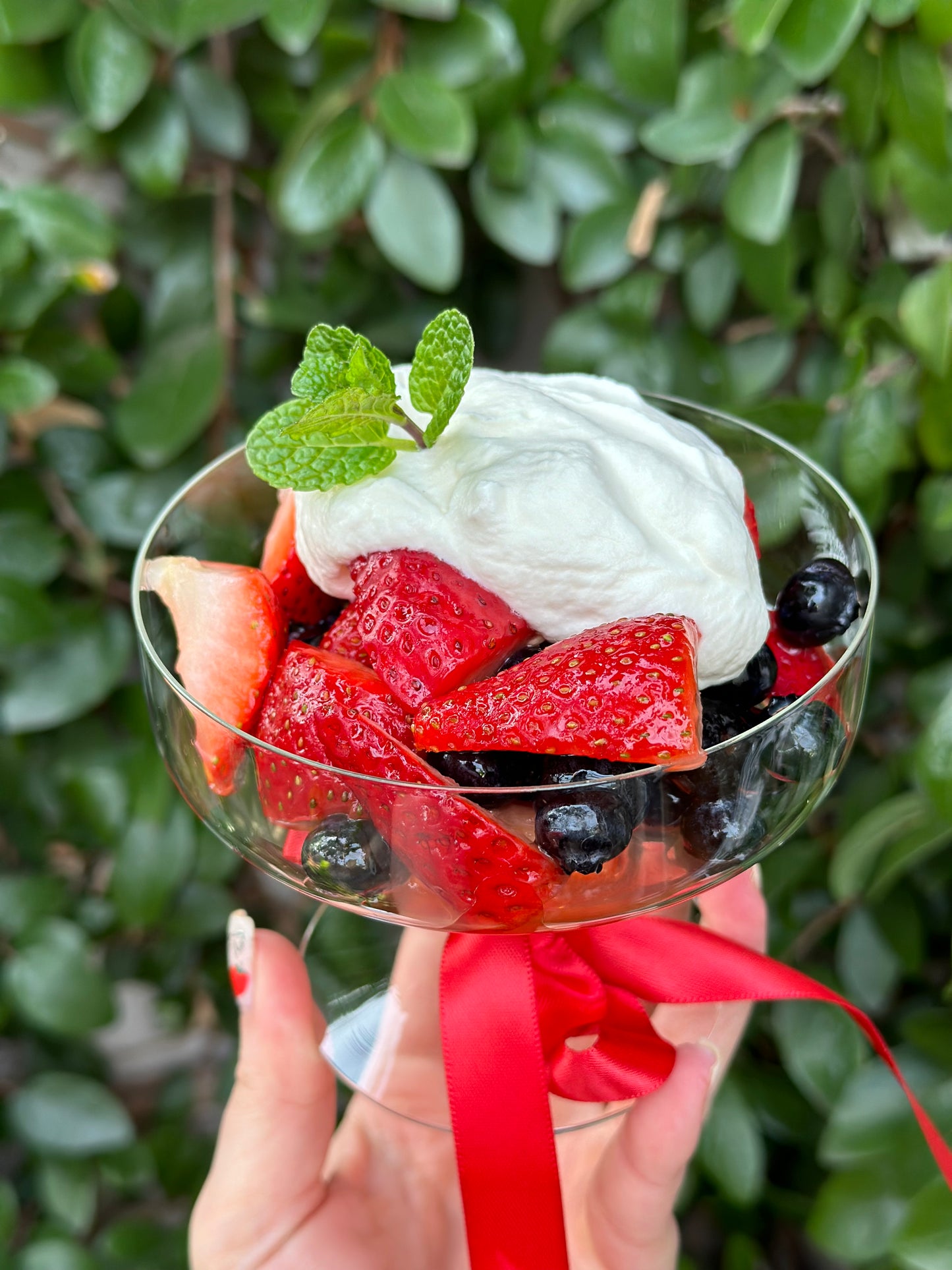 Nova Dessert Coupes