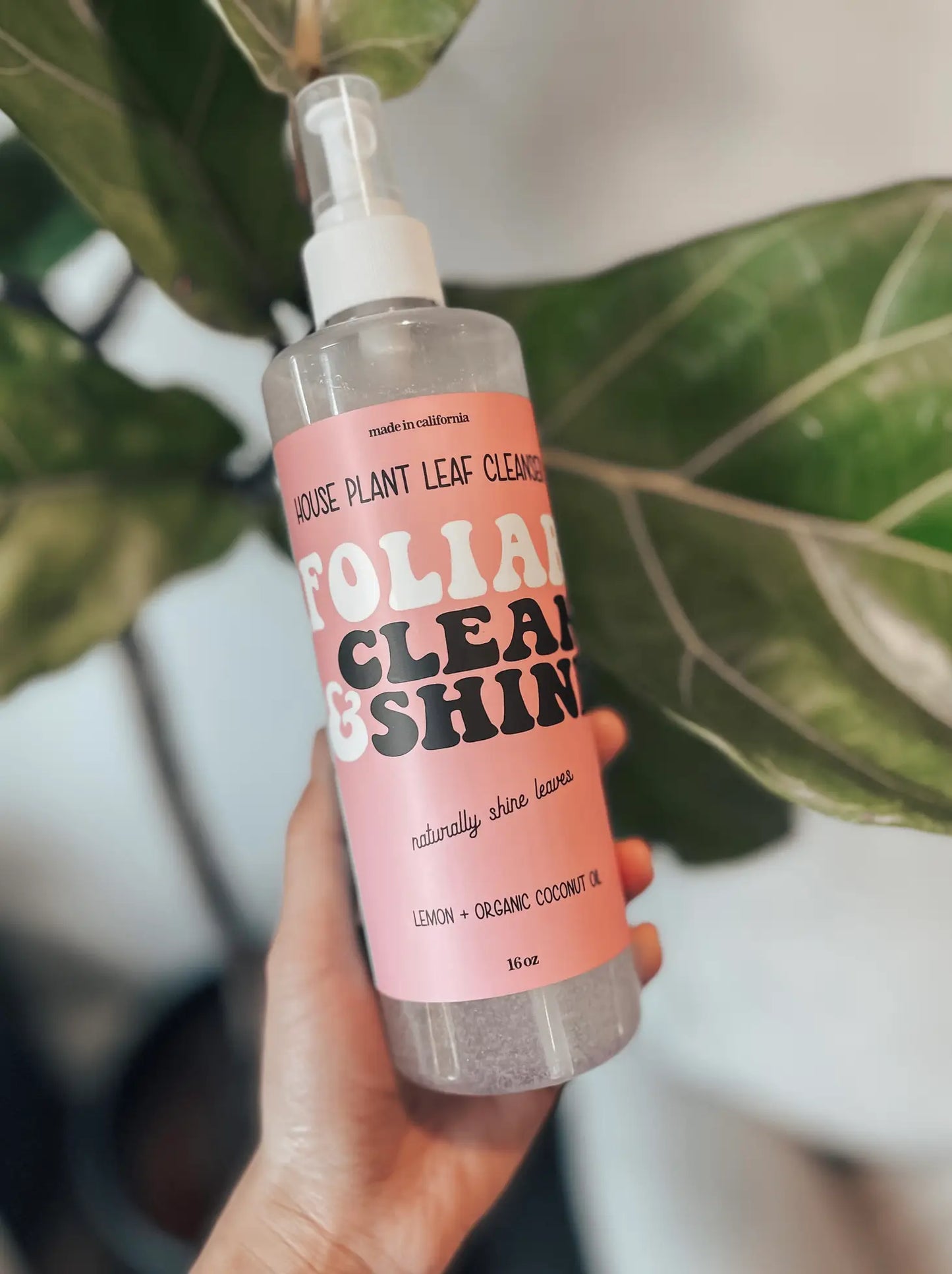 Foliar Clean and Shine