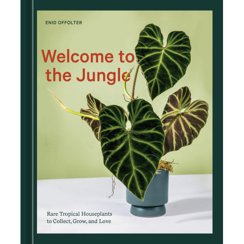 Welcome to the Jungle