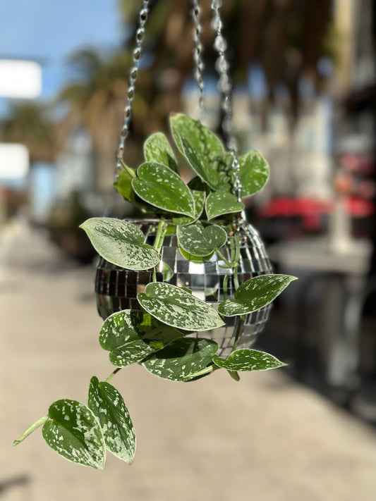 Disco Ball Planter