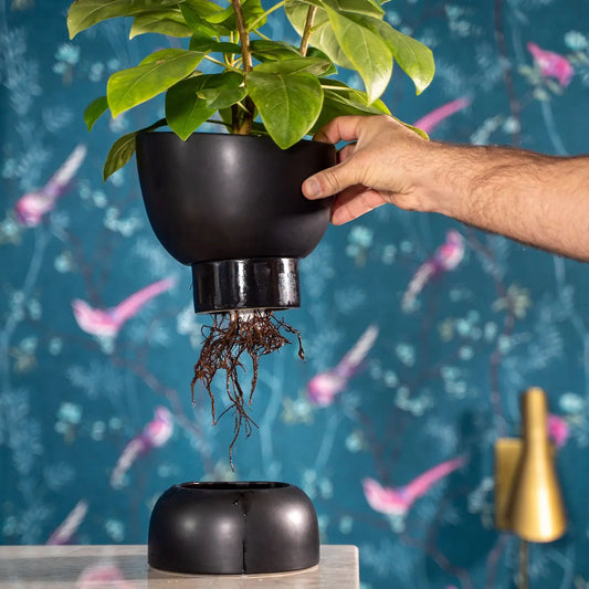 Varick Self-Watering Planter